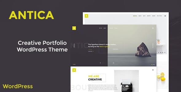 Antica——多用途商业机构/个人投资组合WordPress主题