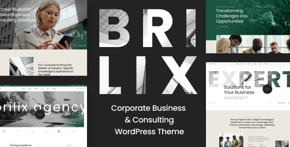 Brilix-企业商务与咨询WordPress主题