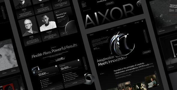 Aixor Agency WordPress主题