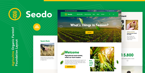 Seodo |农业基金会WordPress主题
