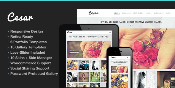 Cesar |摄影WordPress