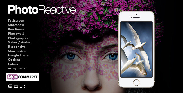 PhotoReactive | WordPress主题