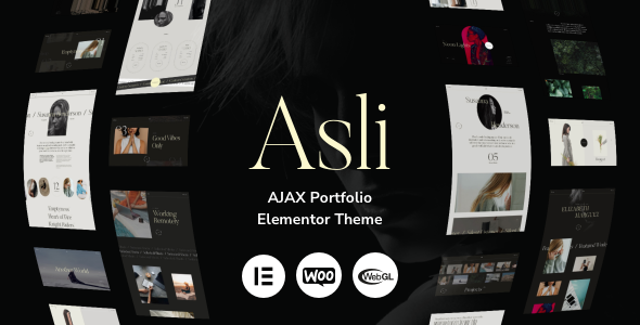 Asli–AJAX作品集元素或WordPress主题