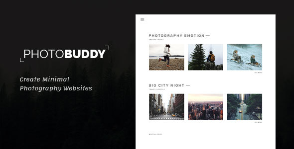 PhotoBuddy |摄影WordPress主题
