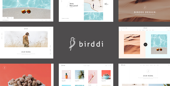 Birddi-创意组合WordPress主题