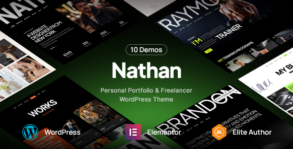Nathan-个人简历简历组合WordPress主题