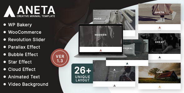 Aneta Agency初创公司WordPress主题