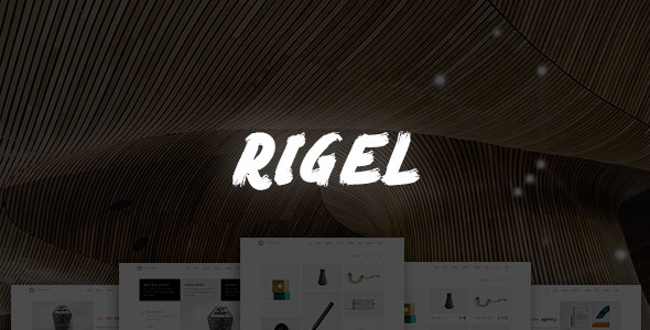 Rigel-终极代理和投资组合主题