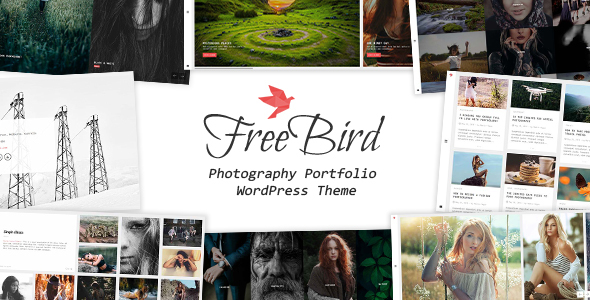FreeBird-摄影作品集WordPress主题