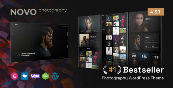Novo-摄影WordPress