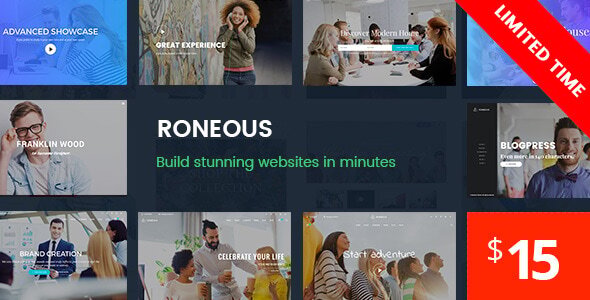 Roneous-创意多用途WordPress主题