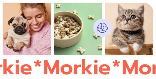 Morkie-宠物店和宠物护理WordPress主题