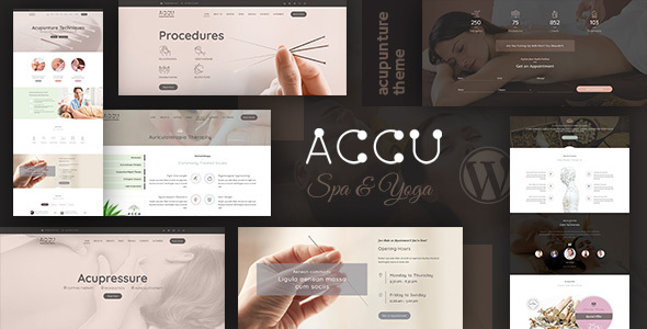 Accu-医疗保健，按摩WordPress主题