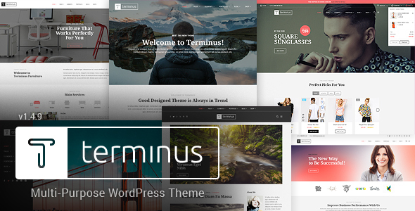 Terminus-响应式多用途WordPress主题