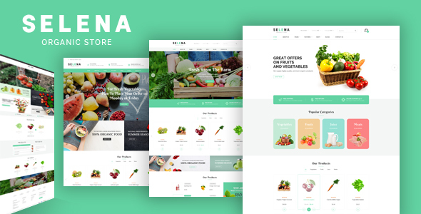 Selena-WooCommerce WordPress的有机食品商店主题