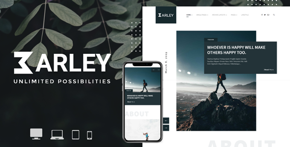 Barley-电子商务杂志WordPress主题