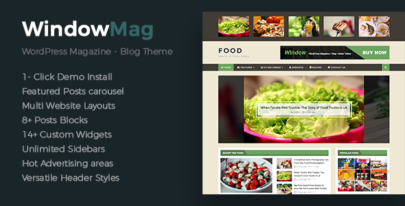 WindowMag-新闻与杂志WordPress主题