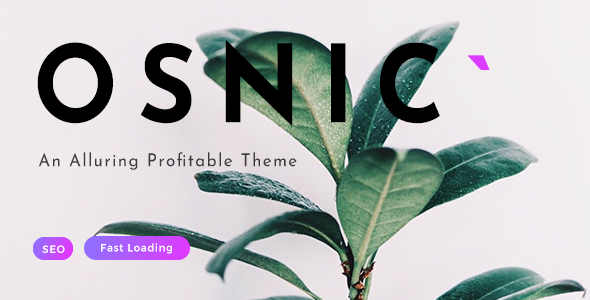 Osnic-Adsense WordPress主题