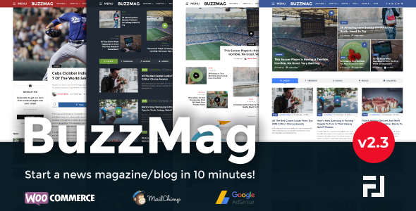 BuzzMag-病毒新闻WordPress杂志/博客主题