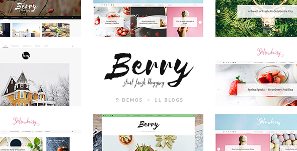 Berry-一个新鲜的个人博客和购物主题