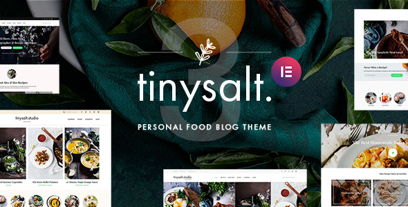 TinySalt-个人食品博客WordPress主题