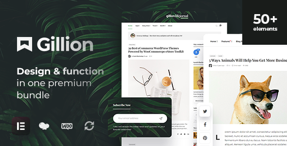 Gillion |多概念博客/杂志和商店WordPress AMP主题