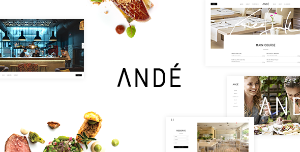 Andé-优雅的餐厅WordPress主题