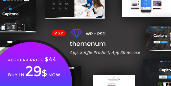 Capitona-应用登陆WordPress主题