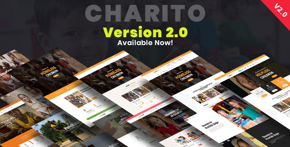 Charito-非营利慈善WordPress主题