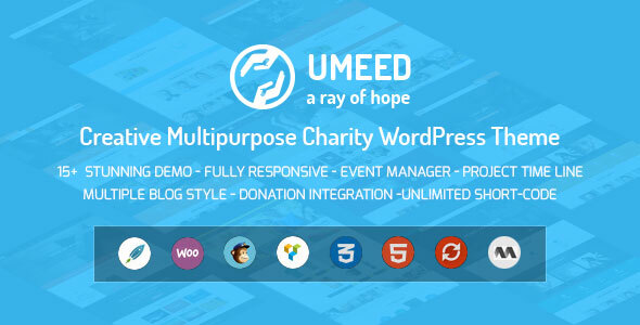 Umeed慈善WordPress主题筹款