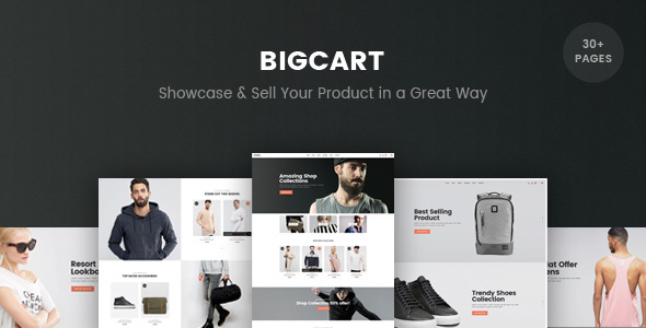 BigCart-响应式Shopify模板（部分就绪）