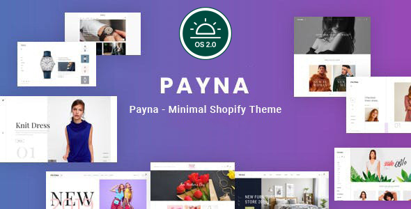 Payna–简洁、极简的Shopify主题
