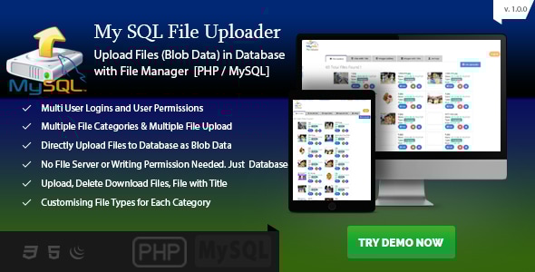 MySQL Blob 上传器 – 文件上传到数据库 PHP – Blob 文件服务器