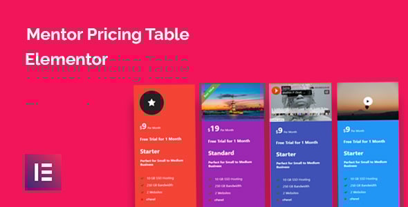 Elementor 的 Mentor 定价表