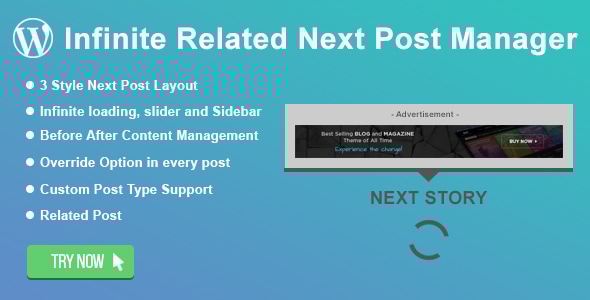 WordPress Infinite 相关 Next Post 经理