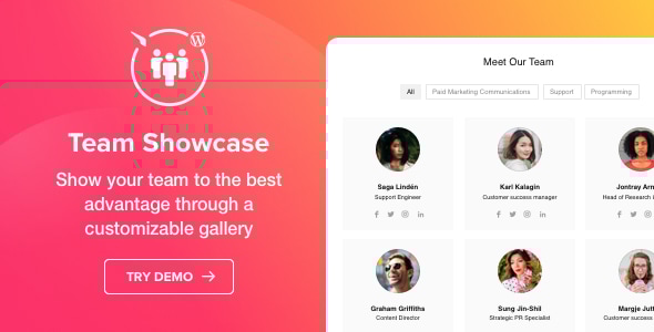 团队展示 – WordPress 插件