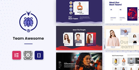 Team Awesome Pro – 团队成员展示 WordPress 插件