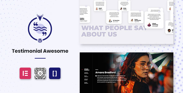Testimonial Awesome Pro – 推荐插件 WordPress 滑块