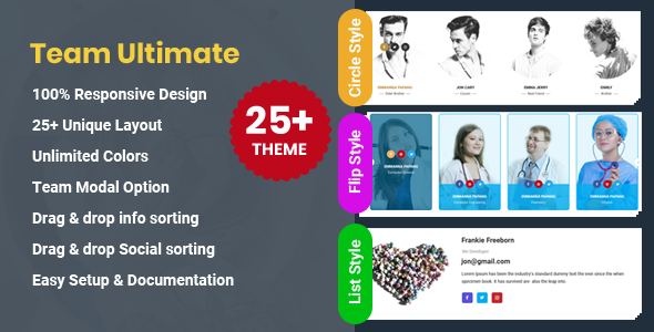 团队展示 – WordPress 团队插件