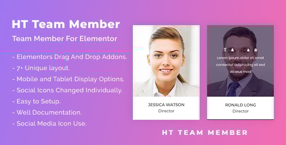 Elementor 的 HT 团队成员