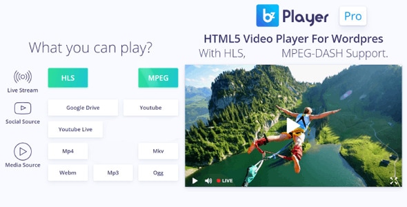 bzplayer Pro – 直播播放器 WordPress 插件