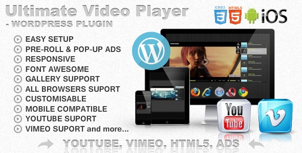 带有 YouTube、Vimeo、Ads WP 插件的终极播放器