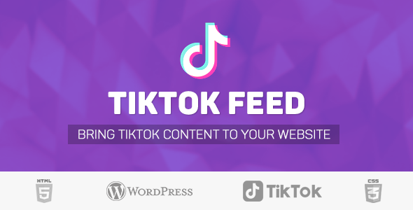 WordPress 的 TikTok 用户视频提要