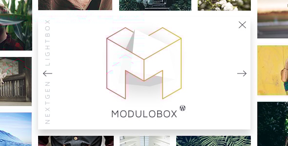 ModuloBox – WordPress 的下一代灯箱插件