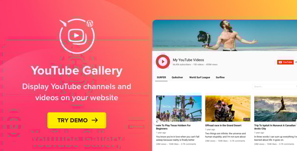YouTube 插件 – WordPress YouTube 图库