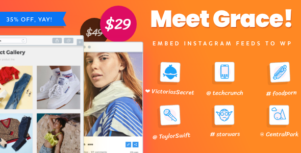 Grace — Instagram 帖子的 WordPress 照片提要