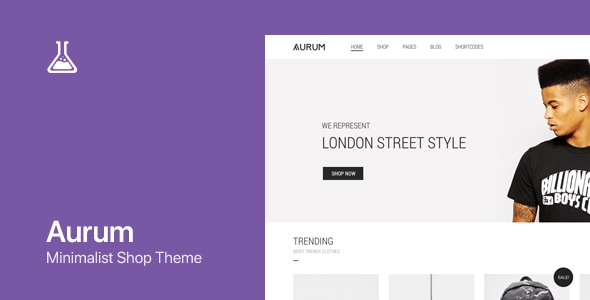 Aurum – WordPress 和 WooCommerce 购物主题