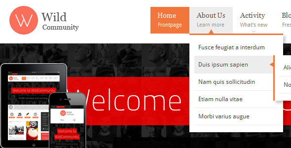 WildCommunity – BuddyPress 社区主题